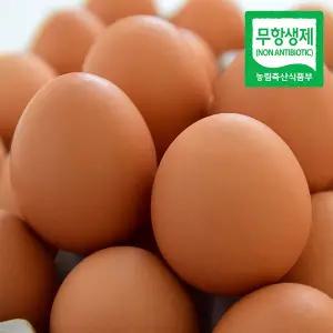 [자연맛남]난각번호1번 무항생제 유정란 60구
