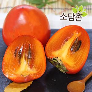 국내산 꿀 대봉감 10kg