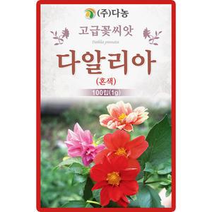 다농 다알리아 씨앗 100립 혼색 다알리아 꽃씨 야생화 종자