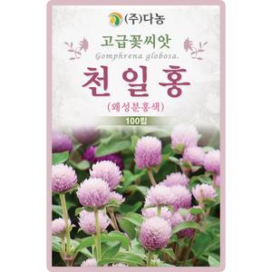 다농 천일홍 씨앗 100립 왜성분홍색 천일홍 꽃씨 야생화 종자