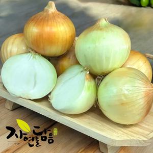 단단한 햇 양파 저장용양파 3kg 5kg 10kg