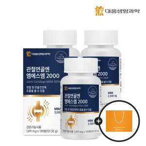 대웅생명과학 관절연골엔 엠에스엠 2000 120정 3박스 (6개월분) + 쇼핑백