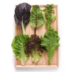 충주 유기농 쌈채소 800g / 구매시 깻잎 1봉(30g)+
