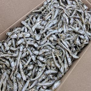동명상회 국내산 다시멸치 1.5kg 국물팩 육수용 한박스 대용량