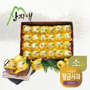 산지애 씻어나온 어린이 골드 꿀사과 5kg 1box / 청송산 시나노골드, 당도선별