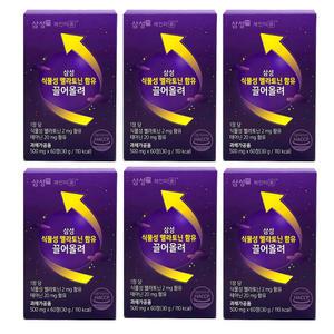 식물성멜라토닌 함유 끌어올려 테아닌 500mg x 60정 6통