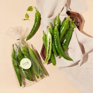 친환경 오이맛 고추 200g/봉