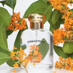 [벨망] 수제 오스만투스 만리향 금목서 향수 OSMANTHUS 50ml