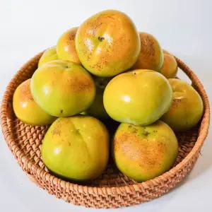 태추단감[가정용 못난이] 2kg