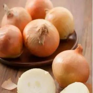 25년 황토밭 무안 양파 무안 햇 양파 5kg (중대혼합)