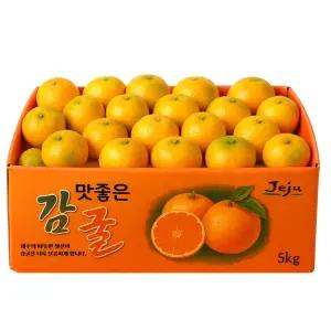 [신선행사] 제주 농장 극조생 노지 감귤 로얄과 5kg 10kg 제주도 귤