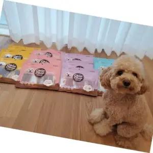 고품질 강아지 치킨 간식 큐브형 300g 애완견 영양 치아 건강 강화 (WFK6B7H)