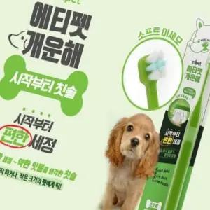 강아지 치아관리 초보용 칫솔 위생용품 스케일러 애완동물 치아청소 도구