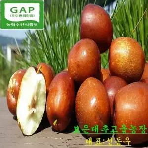 보은 생대추 왕초/30mm*1kg