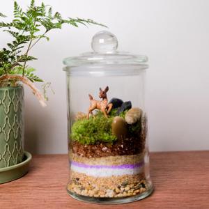 [스토리움]보라미언덕, 이끼 테라리움 원예 DIY