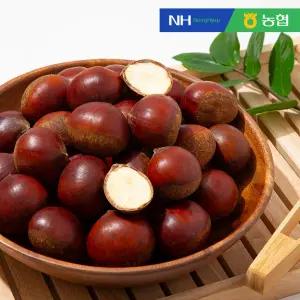 [농협] 속이 꽉찬 순창 햇 알밤(특품) 5kg / 꿀밤 / 맛밤 / 공주밤 / 정안밤 / 옥광밤