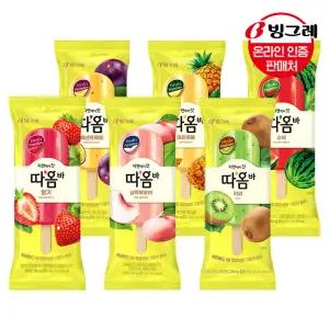 아이스크림 따옴바 6종 20+20 골라담기 /복숭아 딸기 키위 수박 파인애플 패