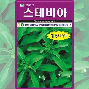 아람종묘 스테비아 씨앗 50립 설탕나무 스테비아씨 허브 종자