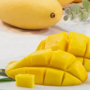 과일의 황제 태국망고 18-20입랜덤 (중과 5kg내외)