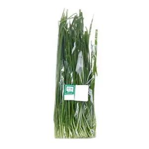 친환경 부추 200g