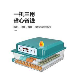 부화용품/병아리부화기 국산병아리 자동 계란 가정용 부화 인큐베이터 병아리 HHD 듀얼