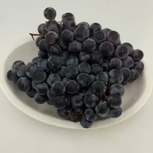 프리미엄 꿀당도 가을제철 고당도선별 국내산 머루포도 1kg