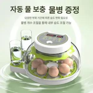 SHservice 오리알부화 계란 오리알 부화용 메추라기