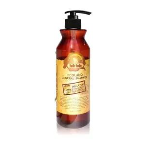 고품질 에코랜드 제너럴 강아지 마일드 모이스쳐 샴푸 500g (WD52282)