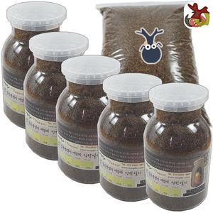 알채취세트 장수풍뎅이 사슴벌레