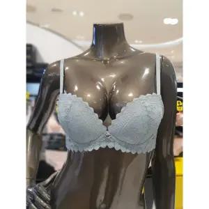 갤러리아 민트 노와이어 볼륨 브라 WBWBR2I17T