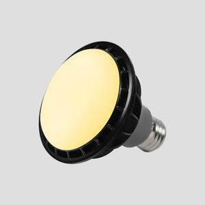 LED 파 30 램프 15W 확산형 전구색