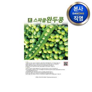 스파클 완두콩 씨앗 500g . 채소 왜성종 재배 다수확 품종 콩키우기 씨 종자