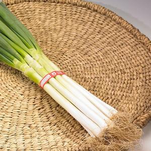 국내산 대파 1단 1kg