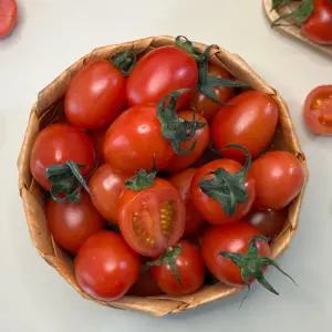 국내산 대추 방울토마토 로얄과 3kg