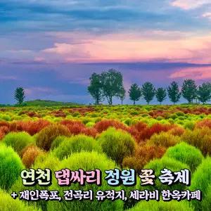 [경기] 연천 댑싸리 정원 꽃축제+재인폭포+전곡리 유적지+세라비 한옥카페 당일여행 / 서울경기出