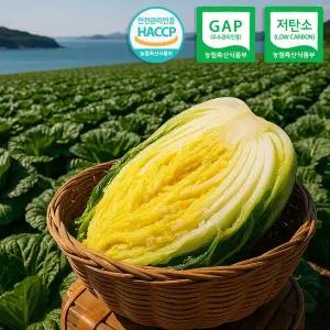 [11/9부터 출고][GAP 저탄소인증] 팜컨 해남 해풍맞은 명품 절임배추 20kg