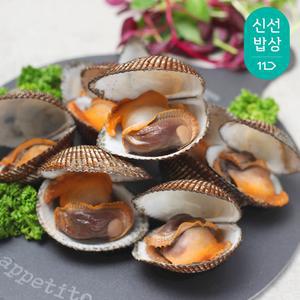 남해안 활 피꼬막 2kg