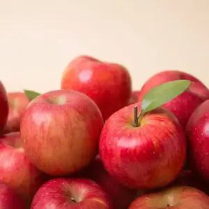 가정용 부사 사과 10kg 중대과