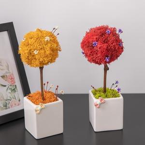 스칸디아모스 공기정화식물 화분 사각 set 25cm 3컬러 인테리어 천연 이끼 장식 소품 테이블플랜테리어