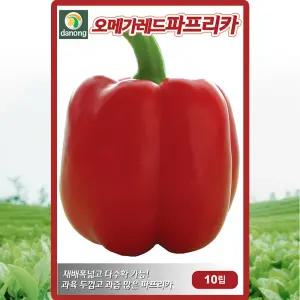 다농 오메가레드파프리카 씨앗 10립 빨강 파프리카씨 칼라피망 종자