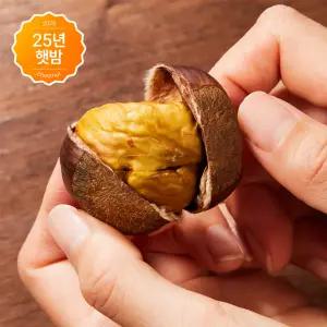 국내산 25년 출하 햇밤 공주부여 포르단밤 칼집밤(특) 3kg