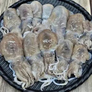 자연산 귀오징어 1kg 통찜용