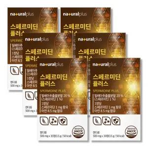 스페르미딘 6박스 개별포장 스퍼미딘 아연 밀배아추출물 폴리아민 대용량