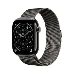 애플워치 11 셀룰러 46mm 슬레이트 티타늄 케이스 슬레이트 밀레니즈 루프 (SM) MFD34KH/A