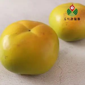 6시과일동 태추단감 2.5kg / 한달만 수확되는 귀한 단감