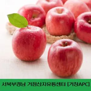 [거창APC] 25년 수확 햇 홍로사과 3kg_5kg