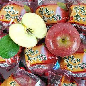 청송 개별포장 꿀 세척 햇 사과 5KG