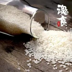 [혼식]국산 백미 (신동진쌀) 3kg / 2025년산