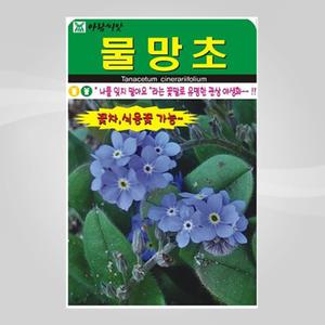 슬로시 꽃 씨앗 물망초 200립 씨앗