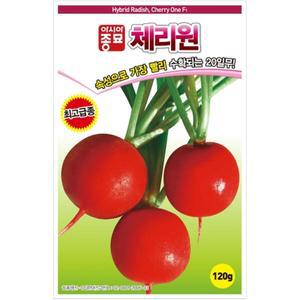 아시아종묘 씨앗 무 체리원 120g